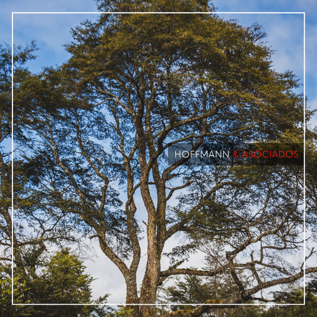 Llanquihue - Parcelas Disponibles
