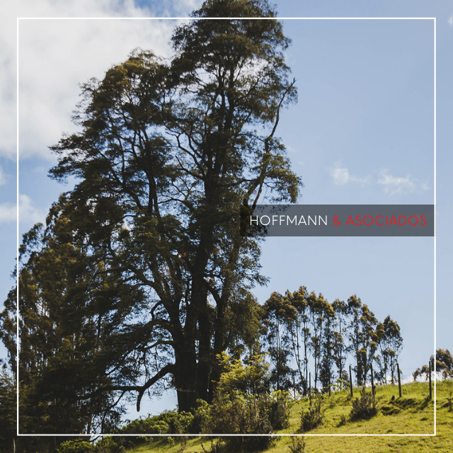 Llanquihue - Parcelas Disponibles
