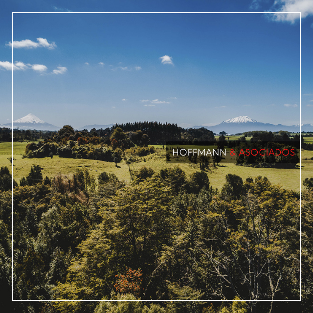 Llanquihue - Parcelas Disponibles